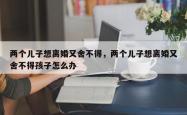 两个儿子想离婚又舍不得，两个儿子想离婚又舍不得孩子怎么办