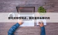 假花的特性特点，假花是什么样子的