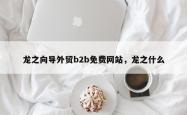 龙之向导外贸b2b免费网站，龙之什么