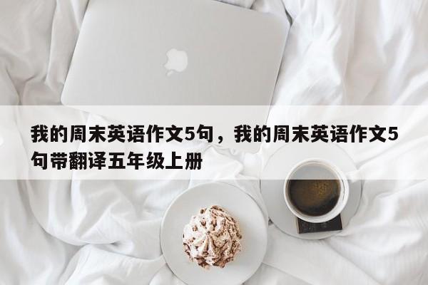 我的周末英语作文5句,我的周末英语作文5句带翻译五年级上册