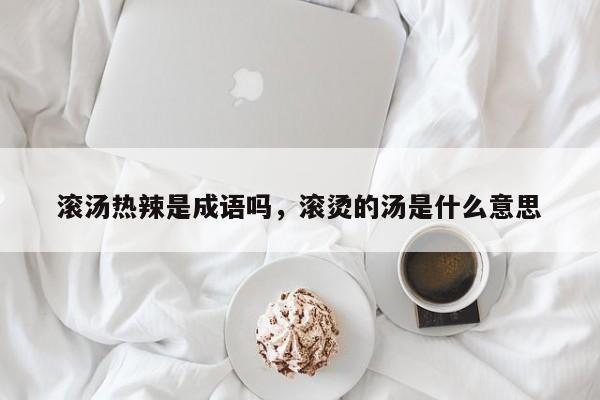 滚汤热辣是成语吗,滚烫的汤是什么意思