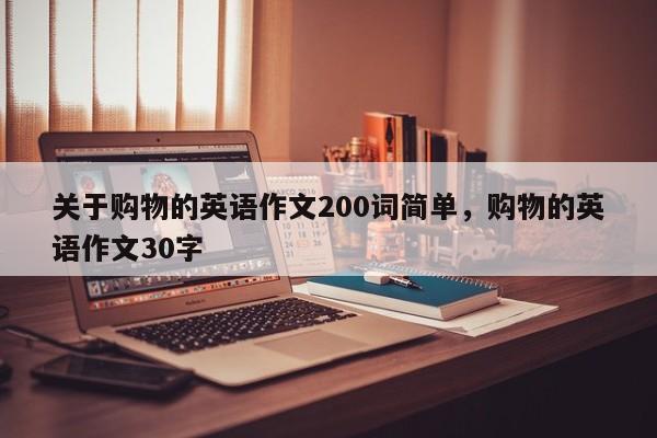关于购物的英语作文200词简单,购物的英语作文30字